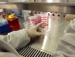 Scientists Testing New Osteoarthritis Treatment