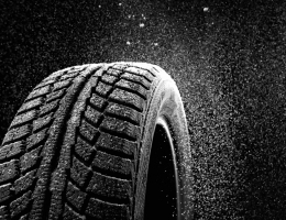 Crossing Borders to Find an Alternative Rubber Supply