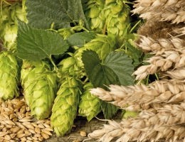 EU Becomes World's Top Food Exporter